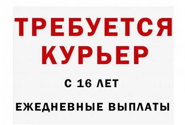 Подработка без оформления ежедневно оплачиваемая. Подработка в вечернее время с ежедневной оплатой. Подработка в Бийске с ежедневной оплатой. Авито шабашка. Подработка иваново с ежедневной оплатой