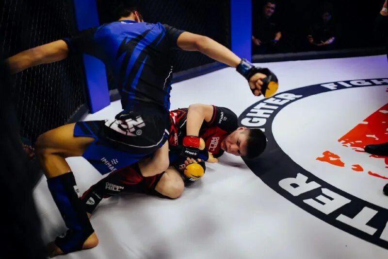 Самый лучший файтинг 2023 год. Кубань файтер. Genitorturers band. Genitorturers джен. Теккен 8 бойцы.