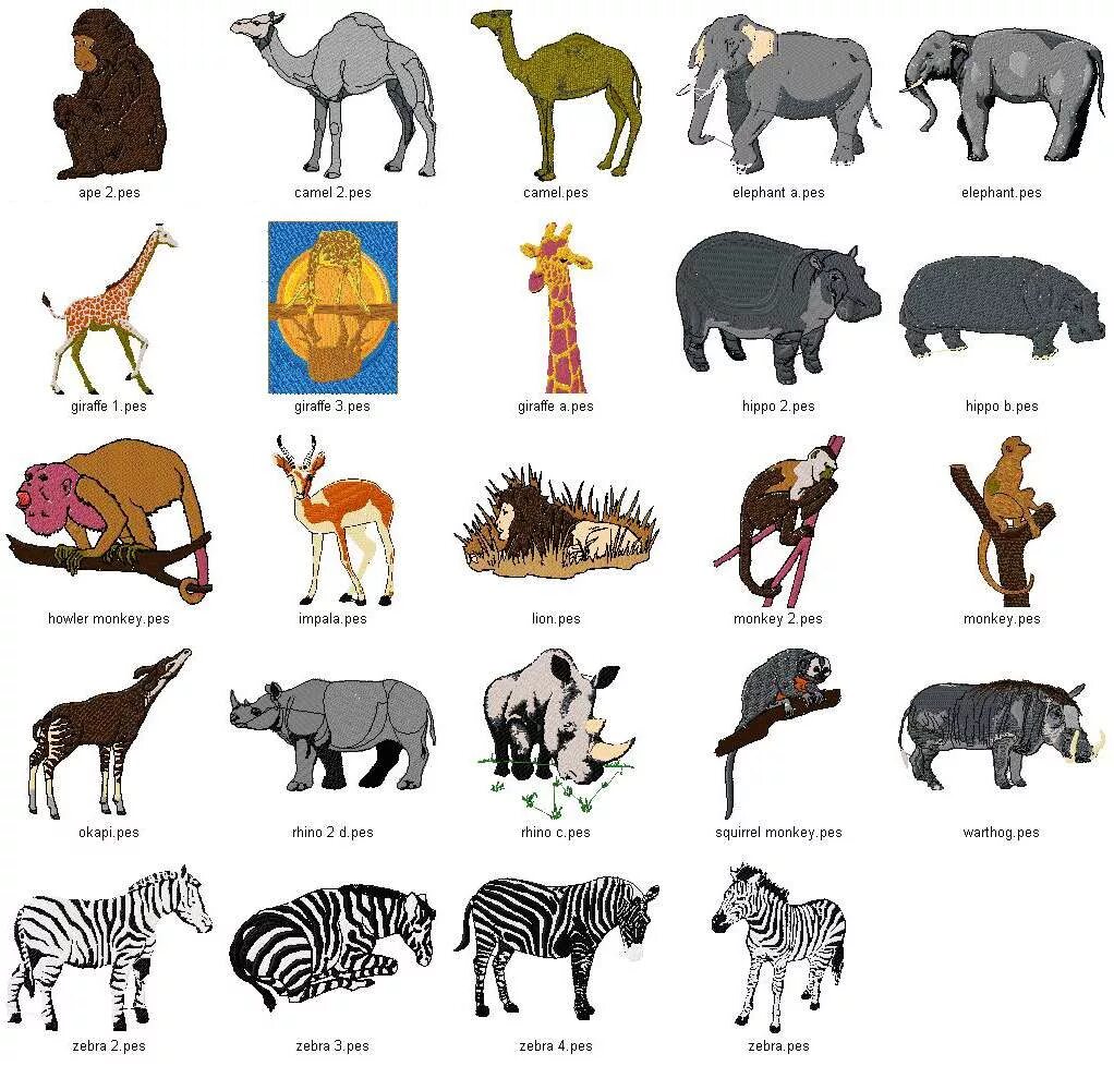 Кто живет в африке животные. Животные Африки. Животных Африки для детей. Названия животных обитающих в Африке. Названия африканских животных для детей.