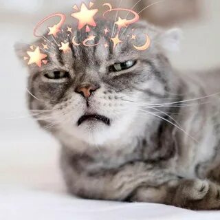 Кто чем недоволен