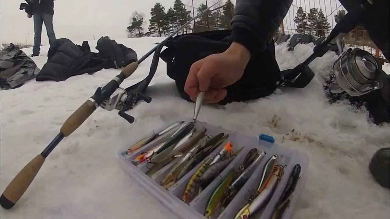 Ловля на спиннинг зимой. Окунь на спиннинг. Ловля на спиннинг зимой. Судак на джиг. Рыбалка на щуку зимой.