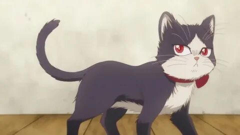Кошка хару