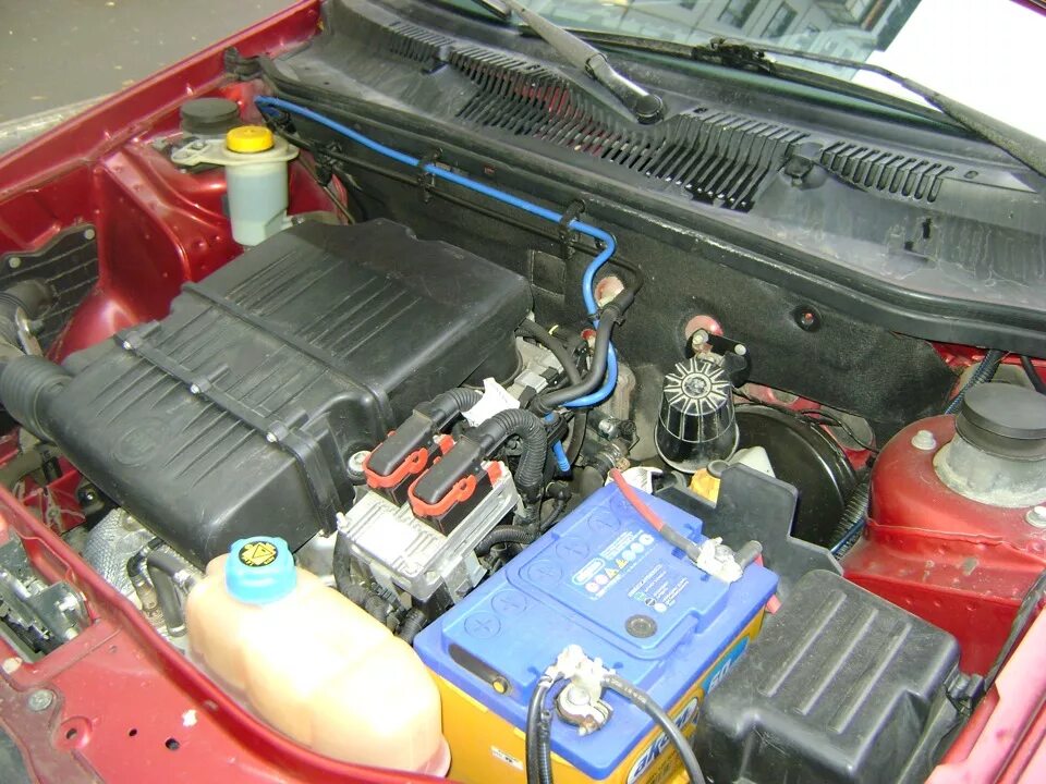Помыл двигатель - FIAT Albea, 1,4 л, 2011 года мойка DRIVE2