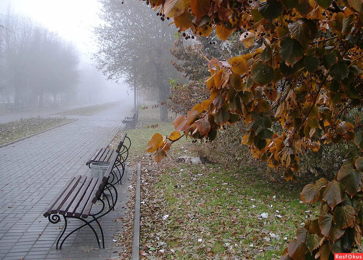 «Дождь в парке» (1996), Либеров. Дождливая осень. Осенний дождливый парк. Дождь осенью. По настоящему осенний дождь