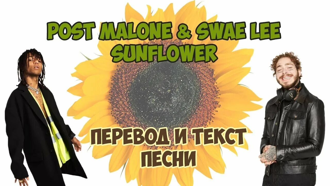 Песнь post. Sunflower певец. Post Malone, Swae Lee - Sunflower. Sunflower песня. Sunflower перевод.