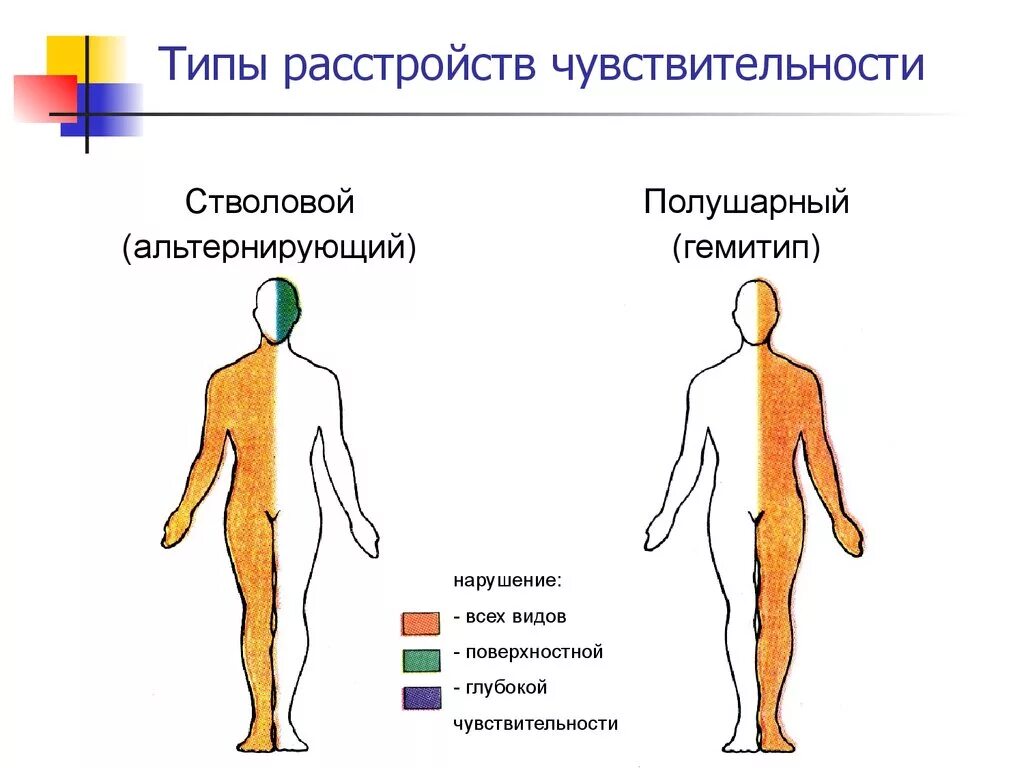 Типы поражения чувствительности. Альтернирующий Тип расстройства чувствительности. Тип нарушения чувствительности гемитип. Центральный Тип нарушения чувствительности неврология. Полиневральный Тип нарушения чувствительности.