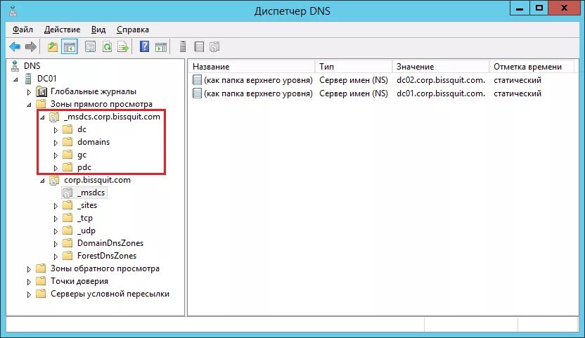 Dns зона домена. DNS зона. Файл зоны DNS. Обратная зона DNS. Зона прямого просмотра DNS.