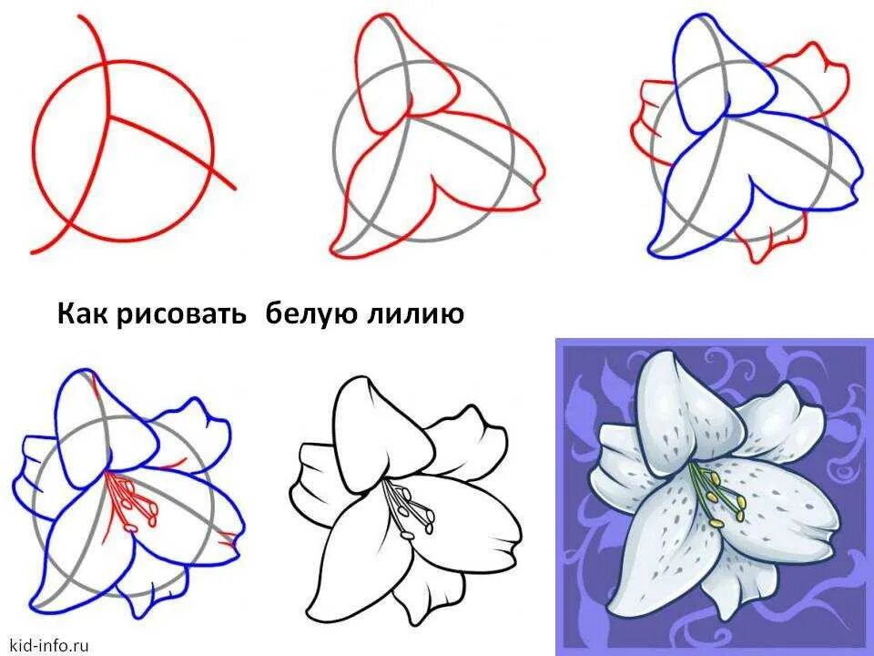 Цветы рисунок. Рисунок цветов пошагово. Цветы рисунок карандашом. Цветочки для рисования.