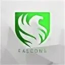 Falcon esports