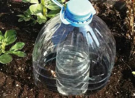 Из бутылки сделать капельный полив