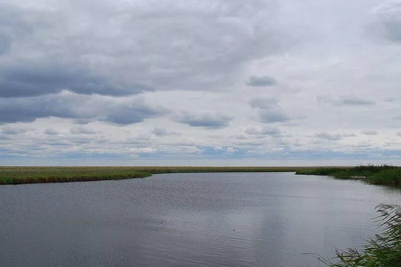 Река Убаган в Курганской области. Река Убаган Казахстан. Озеро Кушмурун Казахстан. Озеро Кушмурун Костанайская область. Богатство курганской области