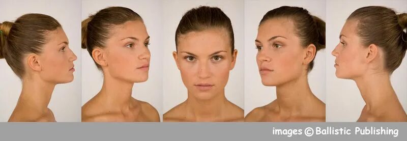 Вид профиль анфас. Вид профиль анфас. Анфас и профиль. Женское лицо в три четверти. Вид профиль анфас.