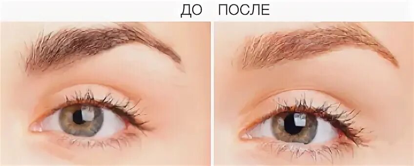Брови реутов