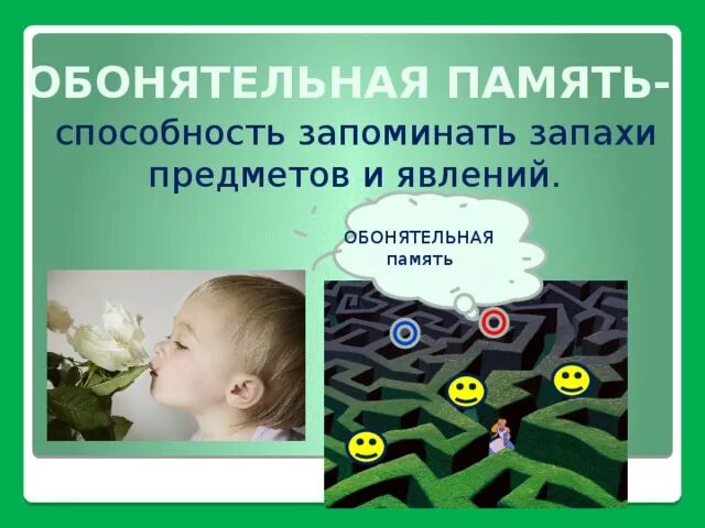 Обонятельная память