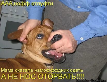 Не суй нос куда