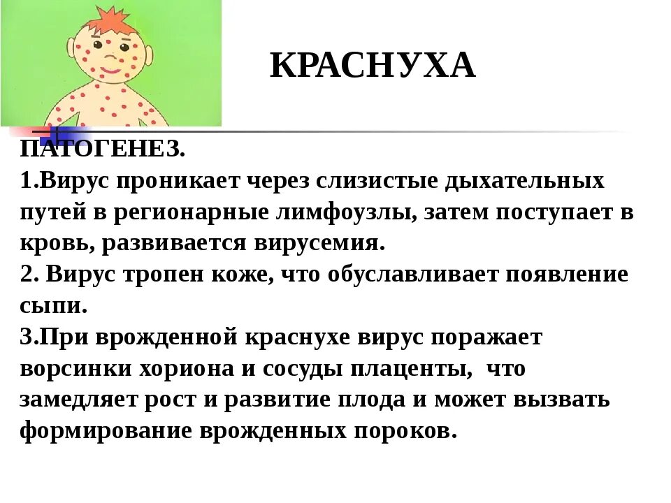 Патогенез сыпи при краснухе. Корь краснуха симптомы у детей.