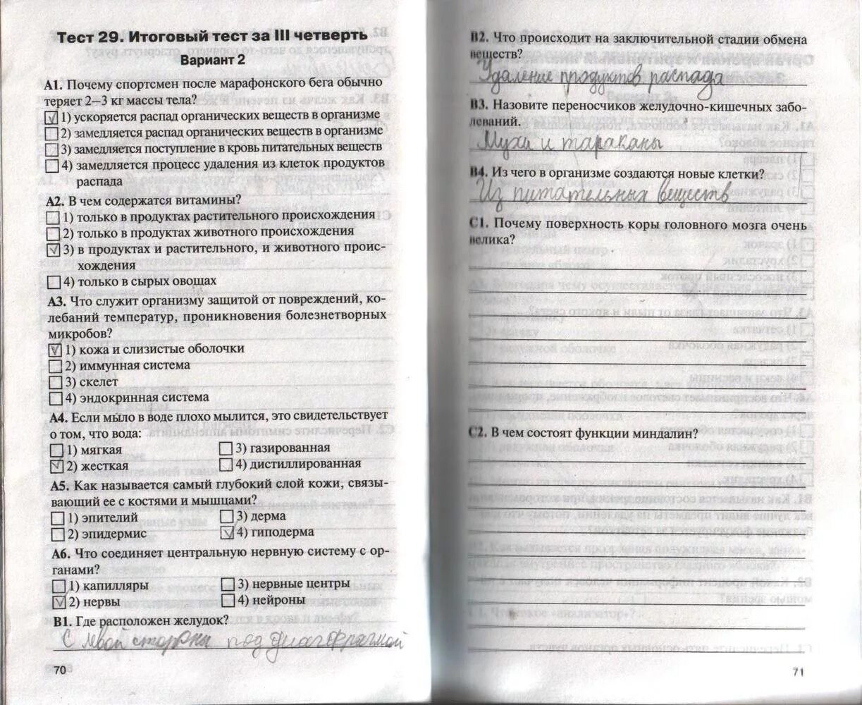 Н.А. Богданов рабочая тетрадь по биологии 8 класс. Контрольно измерительные материалы Богданов 8 класс. Тесты по биологии 8 класс Богданов. Биология 8 класс контрольно-измерительные материалы.