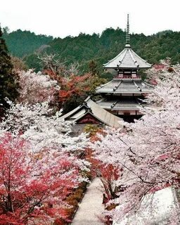 Injapan