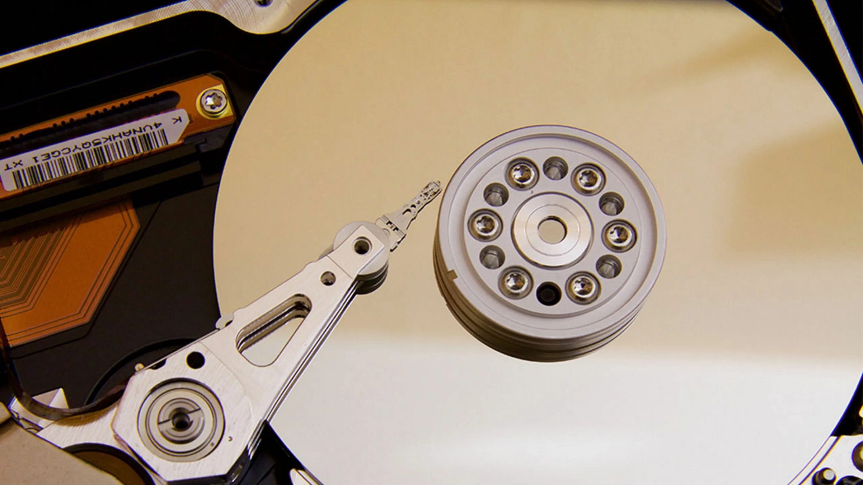 Sharge disk plus