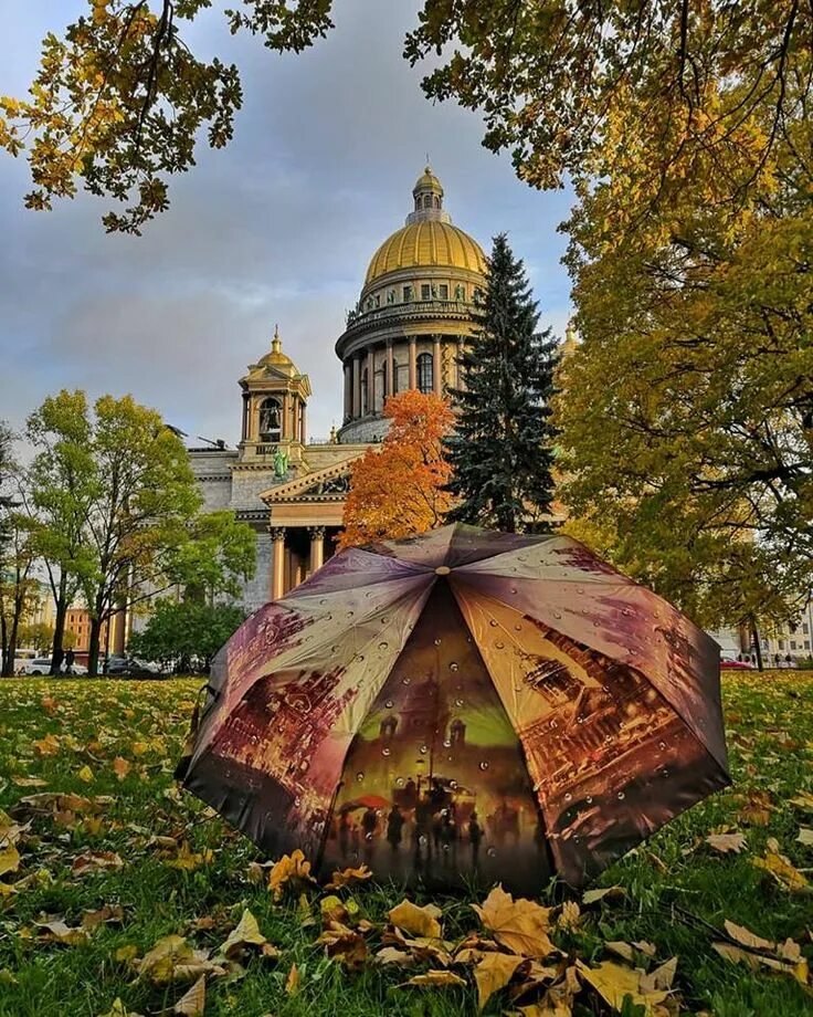 Куда сходить в петербурге в октябре. Куда сходить в петербурге в октябре