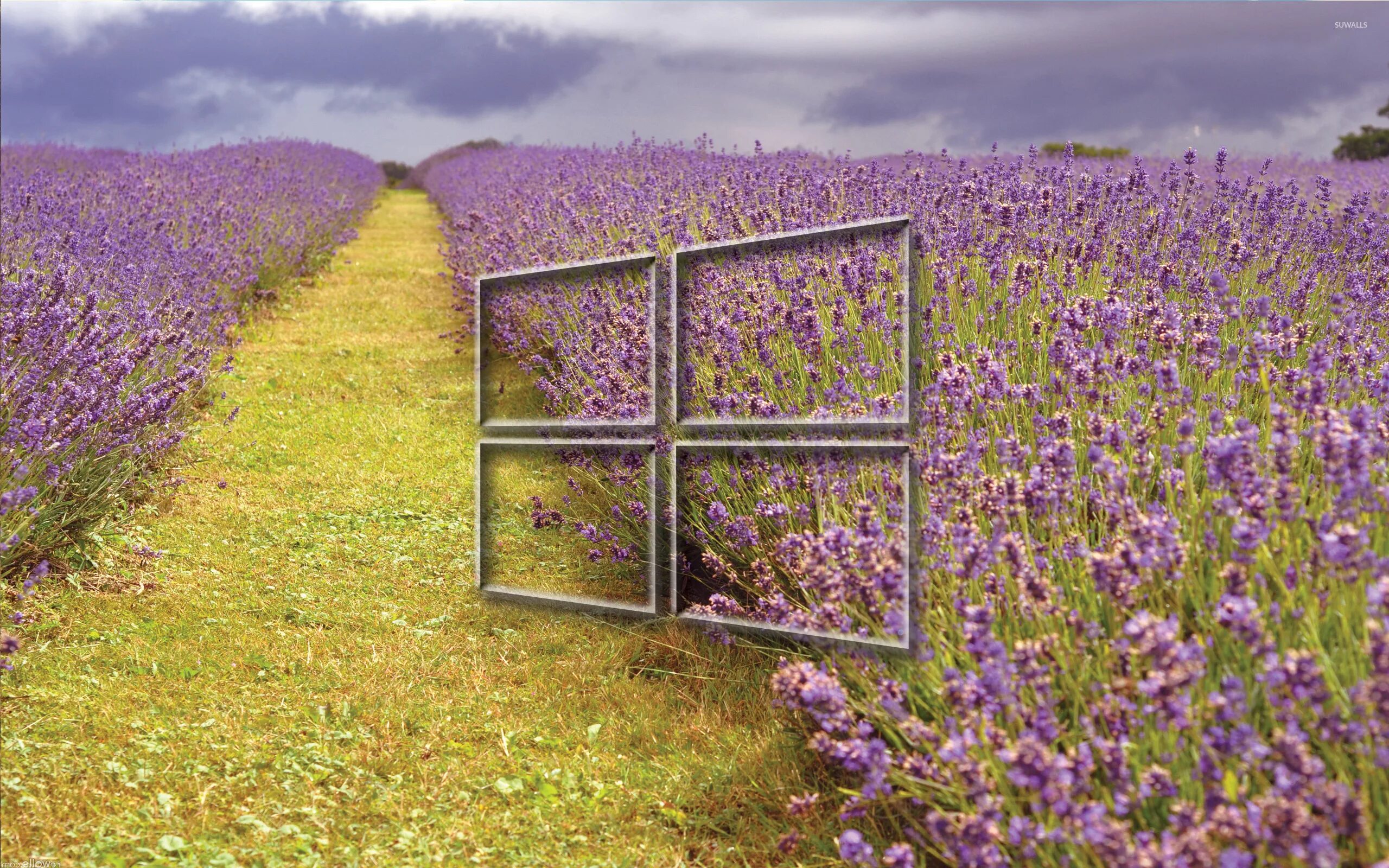 Soccer equipment. Field kolag. Halfway line. Пустая дорога. Здание в поле.