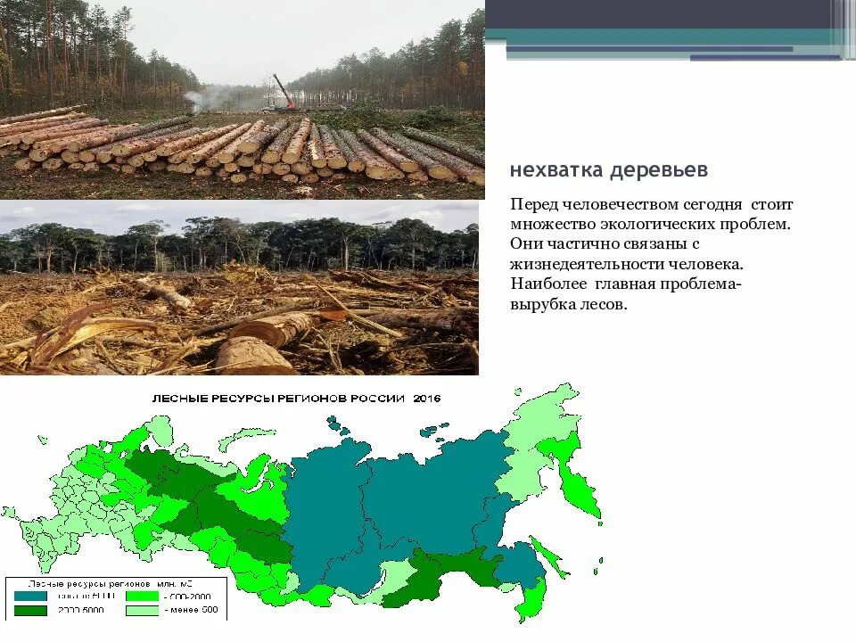 Вырубка лесов. Вырубка лесов экологическая проблема. Вырубка лесов проект. Вырубка леса презентация.