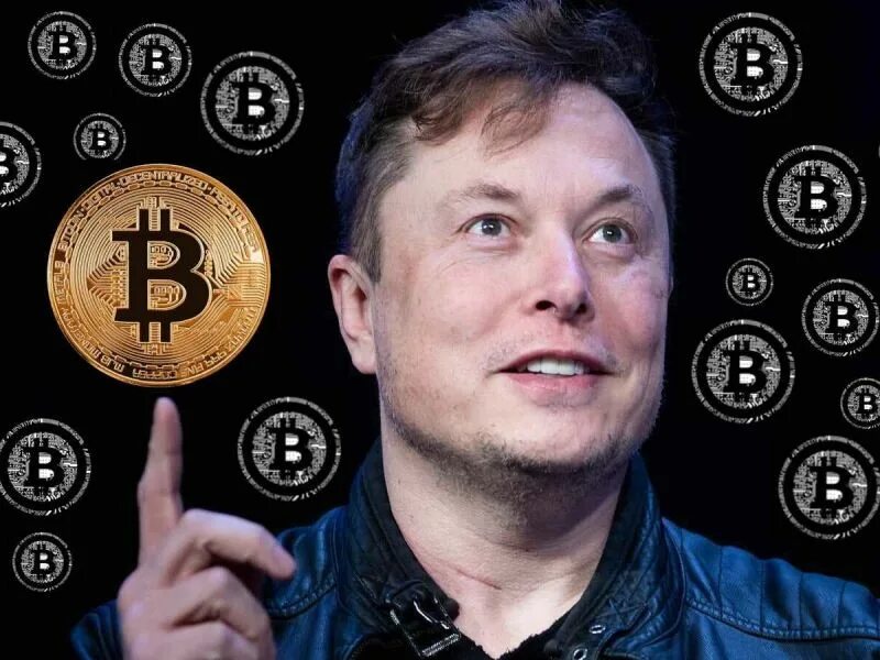 Илон маск биткоин прогноз. Илон маск биткоин прогноз