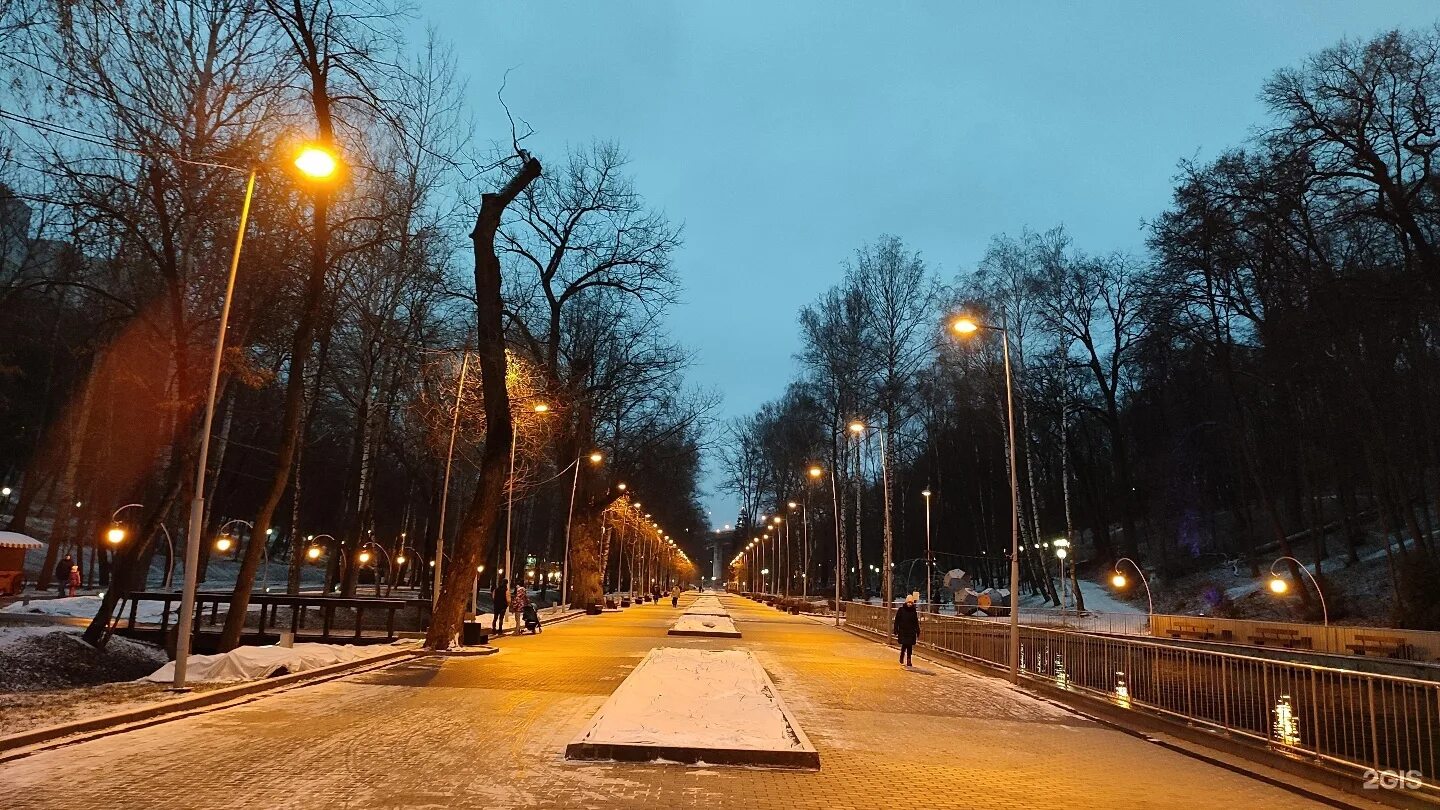 Воронежский Центральный парк. Улица Ленина 10 Воронеж. Тихий центр Воронеж. Социальный фонд Воронеж Центральный район фото вечером.