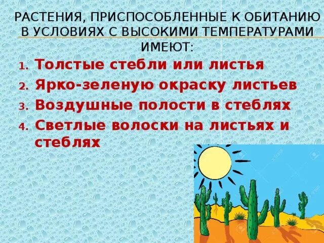 Как растения приспосабливаются к высоким температурам. Приспособленность растений к температуре. Адаптация растений к высоким температурам. Какие растения приспособлены к высоким температурам.