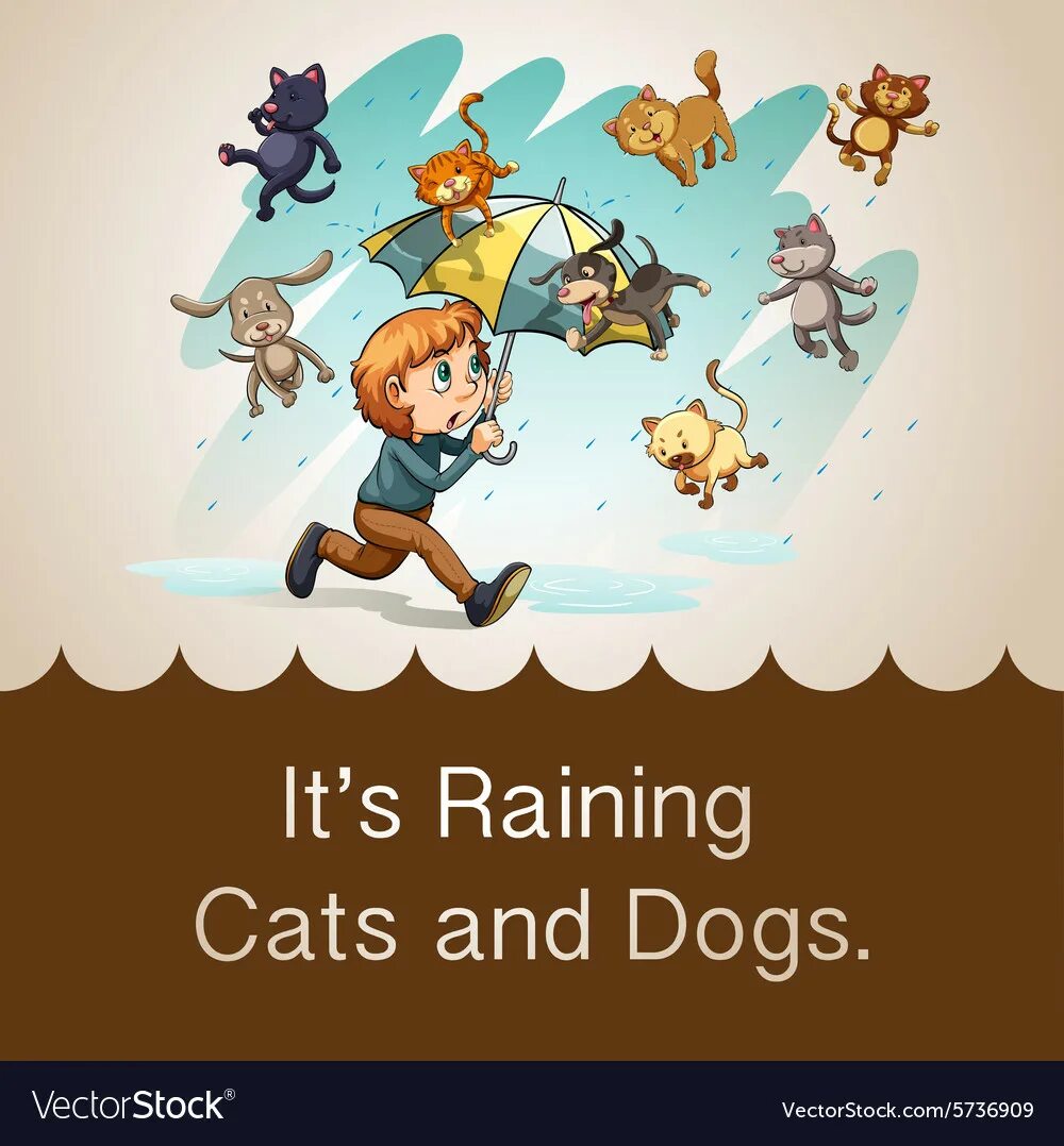 Идиомы raining Cats and Dogs. Raining Cats and Dogs идиома. Rain Cats and Dogs идиома. It is raining Cats and Dogs.