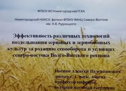 Лекция созависимость