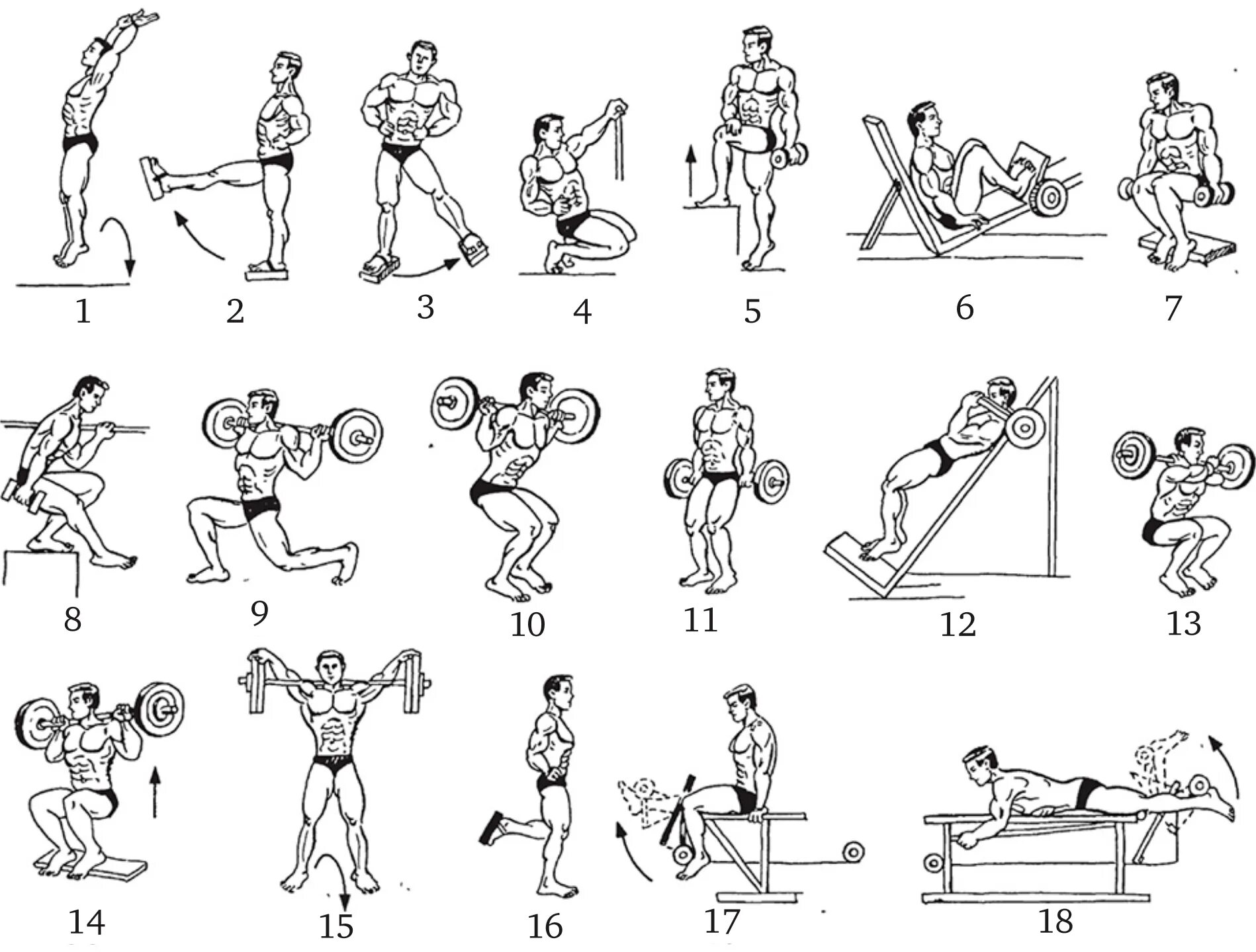 Упражнения на развития силы мышц рук ног туловища. Комплекс упражнений для мышц ног. Комплекс упражнений для развития мышц голени. Комплекс для развития мышц ног. 20 упражнений на силу