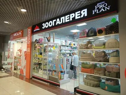 Зоогалерея адрес