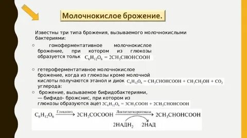 При молочнокислом брожении 160 г глюкозы