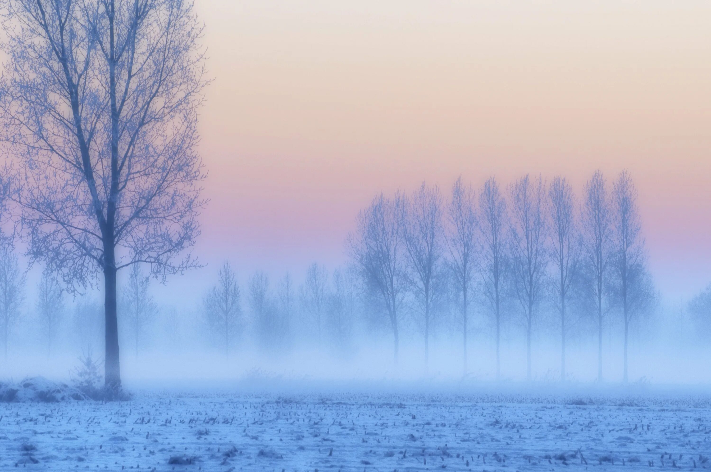 Зимний туман. Туманный пейзаж. Зимнее поле в тумане. Зимний пейзаж с туманом. Дымка снега
