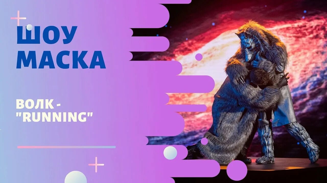 Все выступления волка