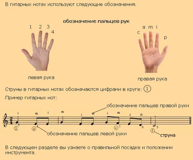 Нотный стан на гитаре 6 струн для начинающих. Как выучить Ноты на нотном стане для гитары. Ноты на гитару для начинающий. Нотные обозначения для гитары. Что значит играть музыку