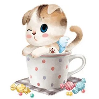 Котик в кружке