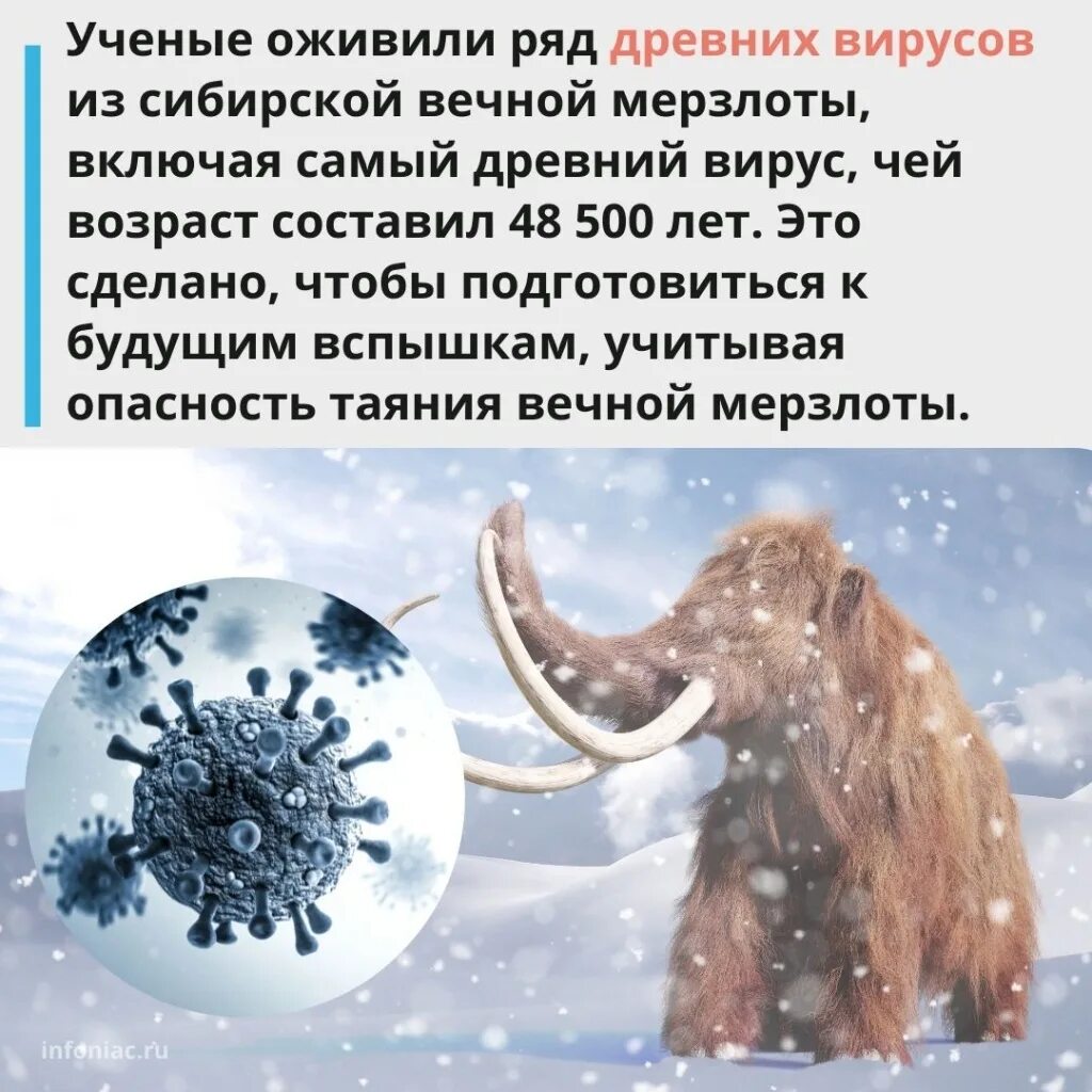 Ученым удалось оживить организм в вечной мерзлоте. Окаменелости древнего червя. Ученым удалось оживить организм в вечной мерзлоте. Таяние вечной мерзлоты. Окаменелости сарматского моря.