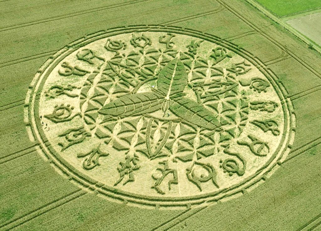 Пентаграмма на поле. Круги на полях нло. Круги на полях стоунхендж. Знаки на полях англии 2023. Пентаграммы на полях.