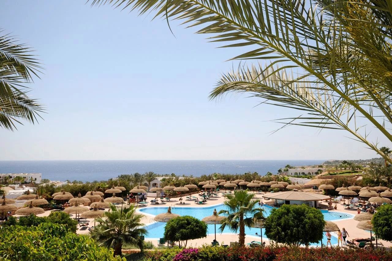 Domina oasis египет шарм. Египет domina coral. Шарм эль шейх домина домина корал. Domina coral bay 5 шарм-эль-шейх. Domina coral bay oasis 5*.