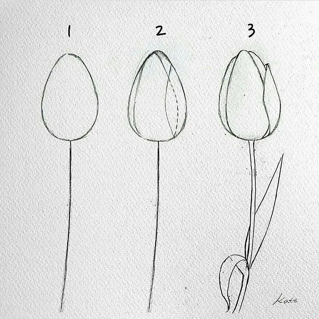 Букет поэтапное рисование. Поэтапное рисование тюльпана. Тюльпаны для рисования карандашом. Простые рисунки для начинающих. Рисунки карандашом цветы для начинающих.