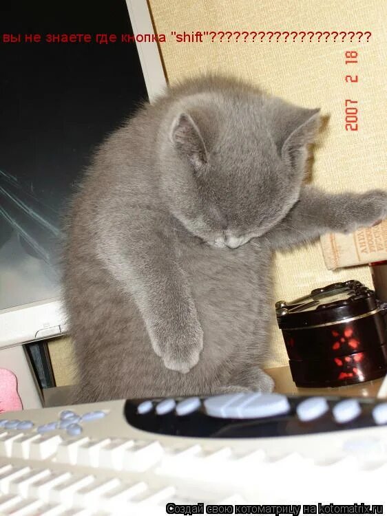 русский язык тьфу блин. клянусь фото приколы. блины прикол. мемы про блины. блинчики мемы.