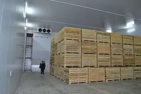 Склад для хранения овощей