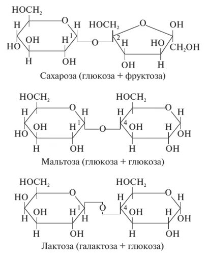 Дисахарид химия строение. Сахароза галактоза мальтоза. Олигосахариды сахароза лактоза мальтоза. Строение сахарозы мальтозы и лактозы.