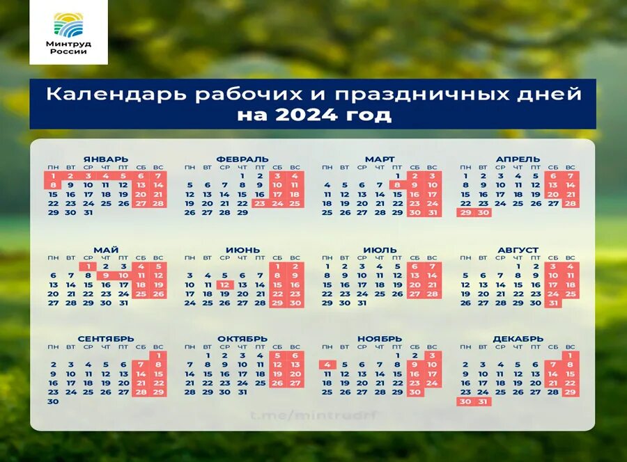 Выходные и праздничные дни в 2024 году. Календарь выходных 2024. Календарь выходных и праздничных на этот год. График праздников. Медицинские праздники 2024 года