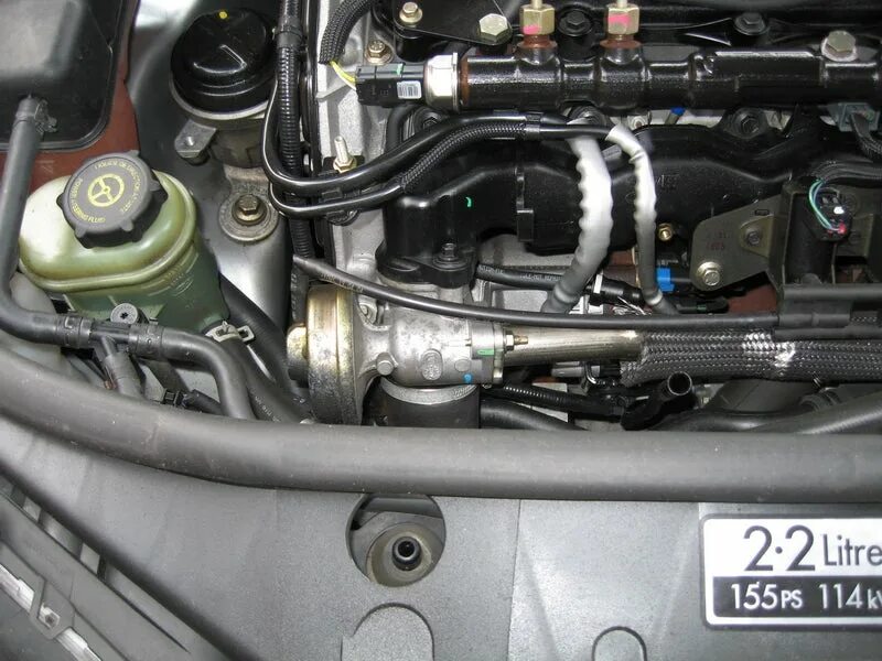 Форд транзит где находится клапан егр 23. Zaślepka EGR Transit Mondeo 2.0 TDCi TDDi 5001293437 oficjalne archiwum
