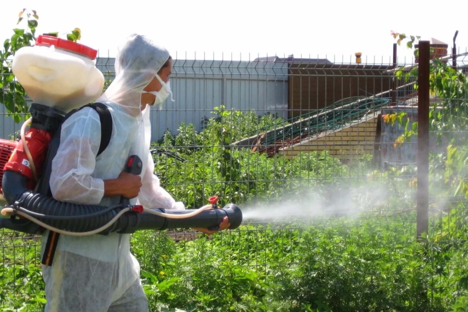 Акарицидная обработка что это. Акарицидная обработка что это. Противоклещевая акарицидная обработка. Противоклещевая акарицидная обработка. Дезинсекция клещей на участке.