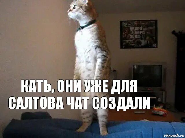 Почему она а не я. Быстро выполнил работу мем. Денег нет но ты держись. Ну вы там держитесь мем. Ну почему он а не я мем.