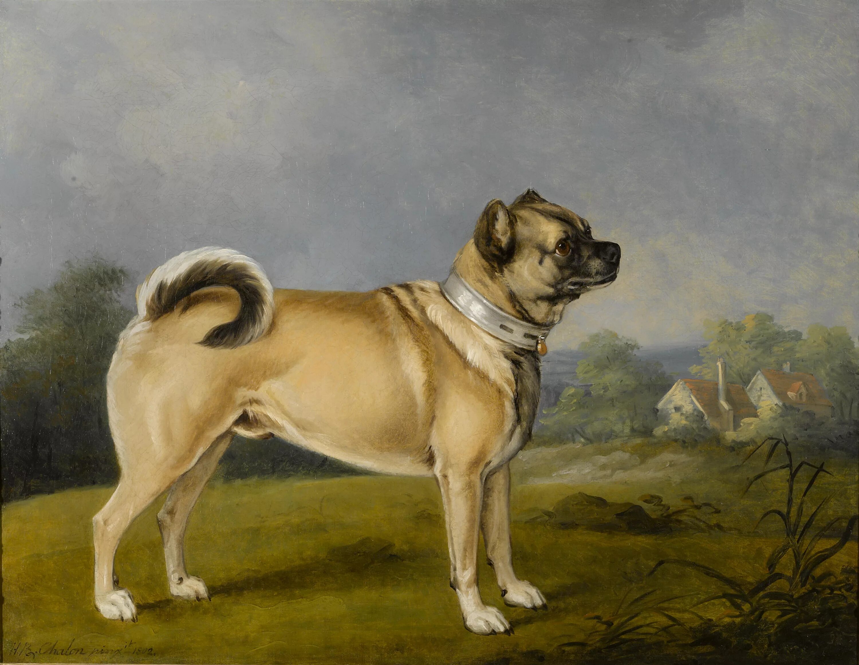 Как выглядели мопсы 200 лет назад Pugs Lovers Only on Instagram: "A Pug in 1884